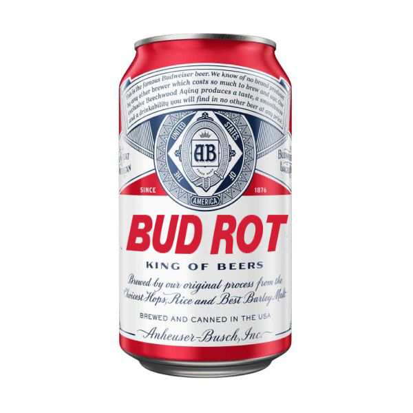 importshop24 Bud Rot Bier importshop24 Bud Rot Bier