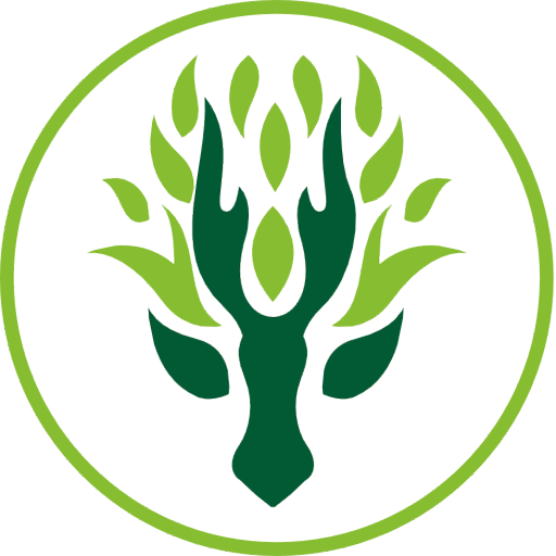 Lotactree Lotactree